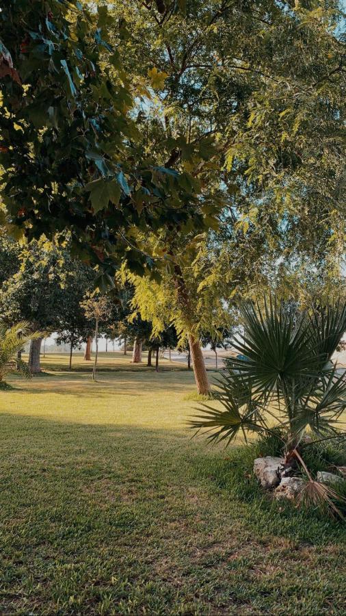 Apartmán El Encuentro Jedula Exteriér fotografie